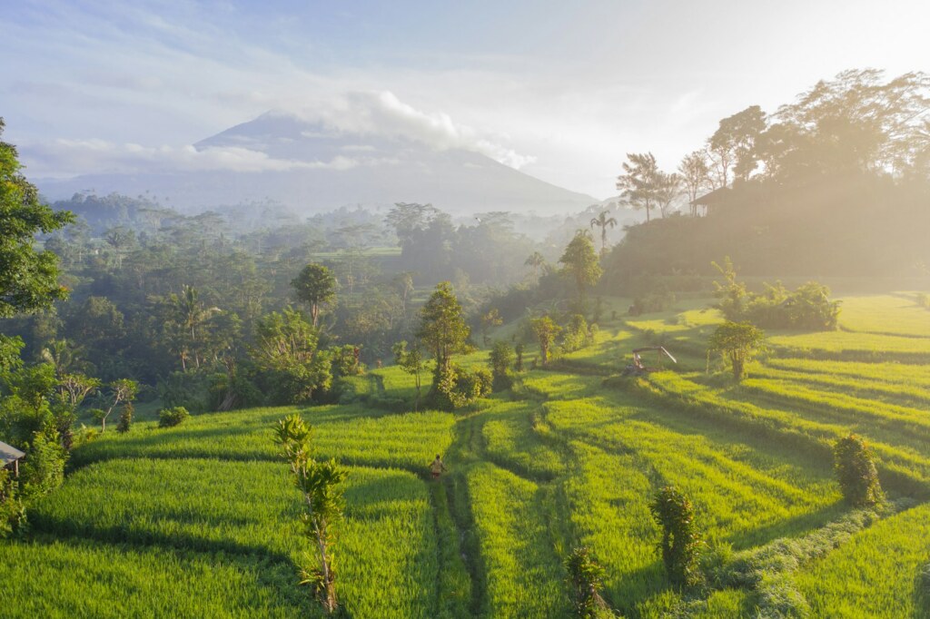 Rizières en terrasses dans la brume au pied du volcan, Bali, Indonésie