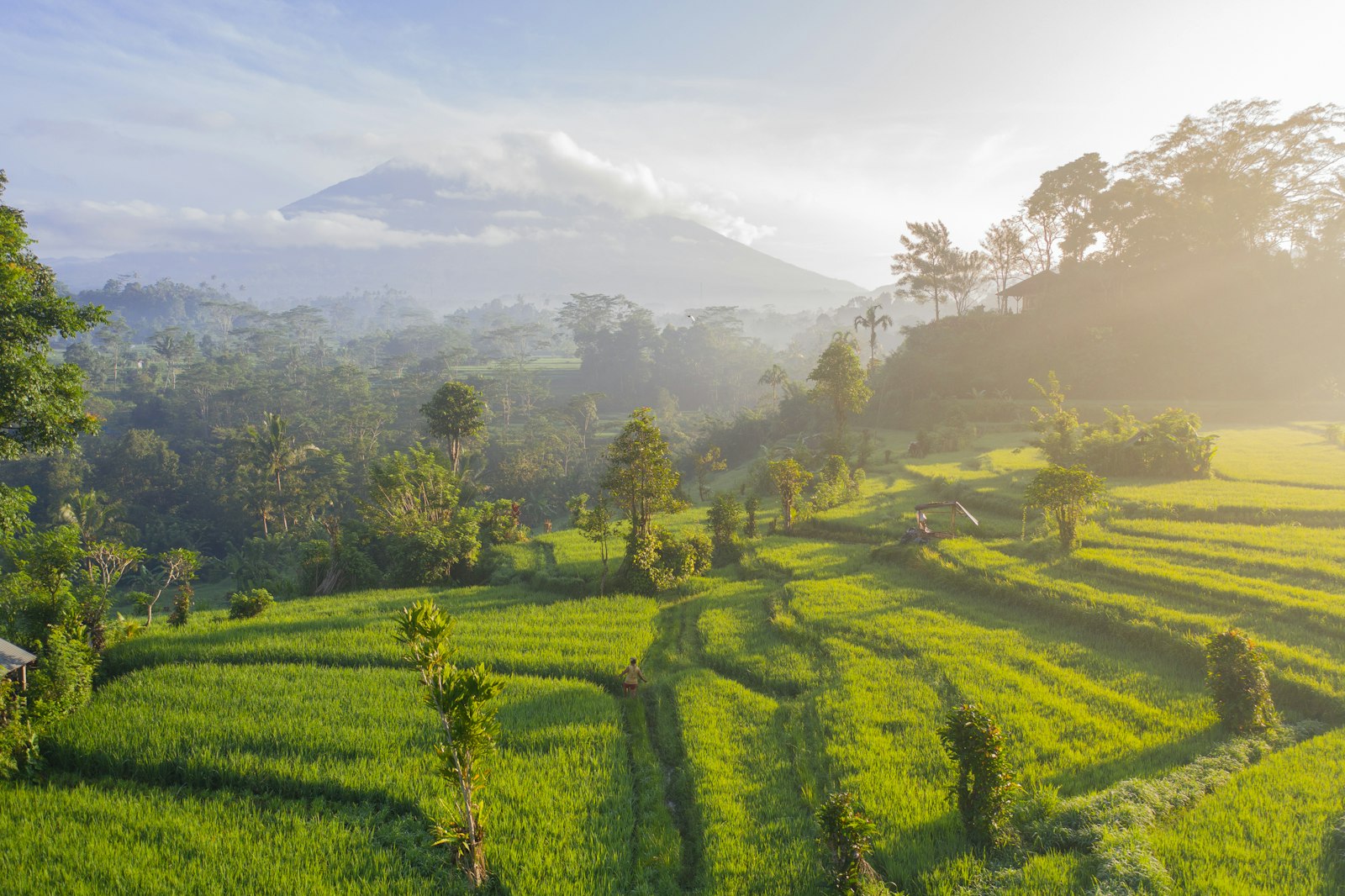 Rizières en terrasses dans la brume au pied du volcan, Bali, Indonésie